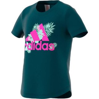 TROPICAL BOS G WILTEA